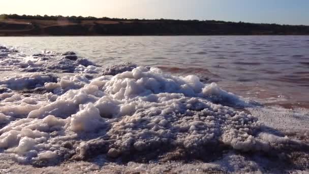 Kuyalnik河口 白い泡と塩湖の岸にテーブル塩カバー石の結晶 — ストック動画