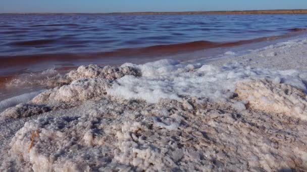 Kuyalniks Mynning Vid Svarta Havet Vitt Skum Och Kristaller Bordssalt — Stockvideo