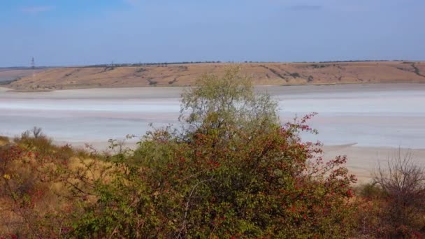 Estuaire Kuyalnik Mer Noire Eau Rose Dans Estuaire Eau Salée — Video