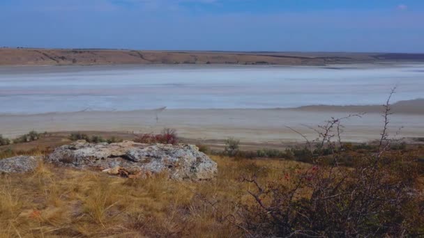 Устье Куяльника Черное Море Розовая Вода Устье Реки Соленая Вода — стоковое видео