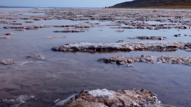 Підлога Вмираючого Естуарію Озеро Самостійна Сіль Покриває Камені Шаром Білих — стокове відео