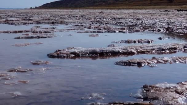 Fondo Estuario Moribundo Lago Sal Autoprecipitante Cubre Las Piedras Con — Vídeo de stock