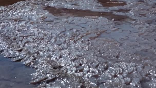Βυθός Μιας Νεκρής Εκβολής Της Λίμνης Αυτοκαταβυθιζόμενο Αλάτι Καλύπτει Πέτρες — Αρχείο Βίντεο