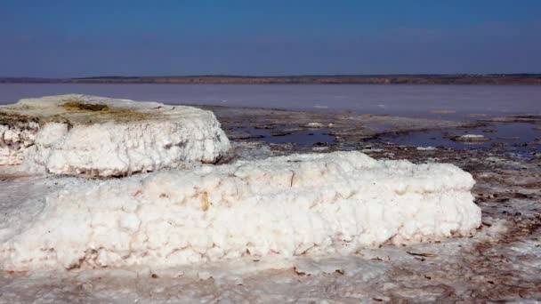 Lago Salado Cristales Sal Sal Autoestable Cubre Las Piedras Agua — Vídeo de stock