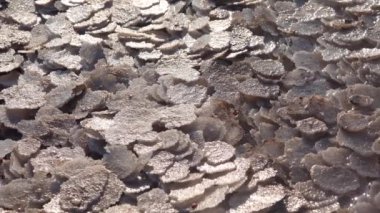 Kuyalnik haliçleri, Karadeniz. Tablo tuzu, alttaki yuvarlak gözleme şeklinde ve haliçlerin kıyısında. Tablo tuz kristalleri