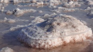 Kuyalnik haliçleri, Karadeniz. Tablo tuzu, alttaki yuvarlak gözleme şeklinde ve haliçlerin kıyısında. Tablo tuz kristalleri