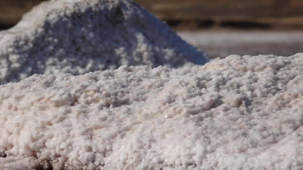 Salzsee Salzkristalle Selbstabsetzendes Salz Bedeckt Die Steine Salzhaltiges Wasser Einem — Stockvideo
