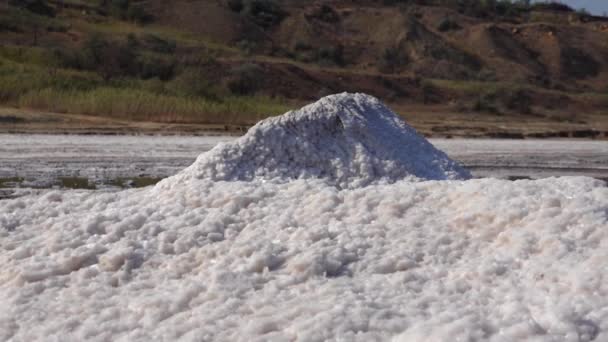 Zoutmeer Zoutkristallen Zelfverzachtend Zout Bedekt Stenen Hypersaline Water Een Droogmeer — Stockvideo