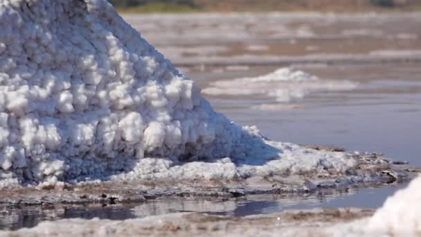 塩の結晶 自給自足の塩は石を覆う 乾燥湖 環境問題のハイパーリン水 ウクライナ — ストック動画
