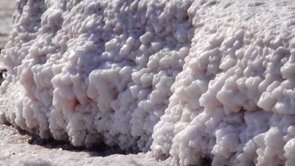 Σολτ Λέικ Κρύσταλλοι Αλατιού Αυτο Ρυθμιζόμενο Αλάτι Καλύπτει Τις Πέτρες — Αρχείο Βίντεο