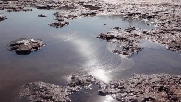 Dnie Wymierającego Ujścia Nad Jeziorem Sól Samowytrącająca Się Pokrywa Kamienie — Wideo stockowe