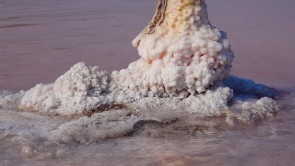 Salt Lake Sel Auto Décantant Sur Billes Bois Eau Hypersaline — Video