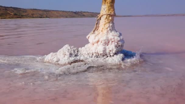 Σολτ Λέικ Αυτοεξυπηρετούμενο Αλάτι Ξύλινα Κούτσουρα Νερό Υπεραλίνης Μια Λίμνη — Αρχείο Βίντεο