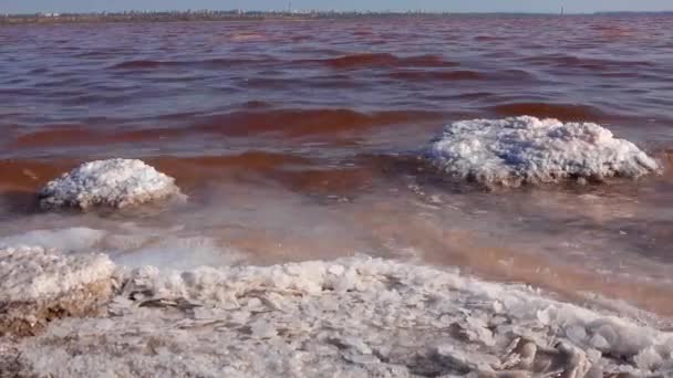 Salt Lake Sal Autoprecipitante Agua Roja Estuario Kuyalnik Agua Hipersalina — Vídeo de stock