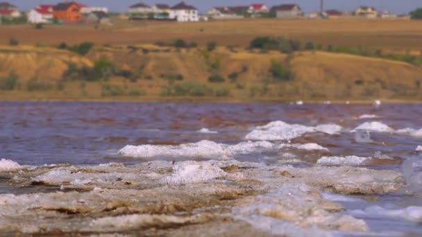 Jezioro Salt Sól Samowytrącająca Się Czerwona Woda Ujściu Rzeki Kuyalnik — Wideo stockowe