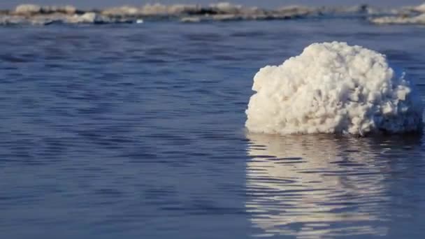 Lac Salé Cristaux Sel Sel Auto Décantant Recouvre Les Pierres — Video