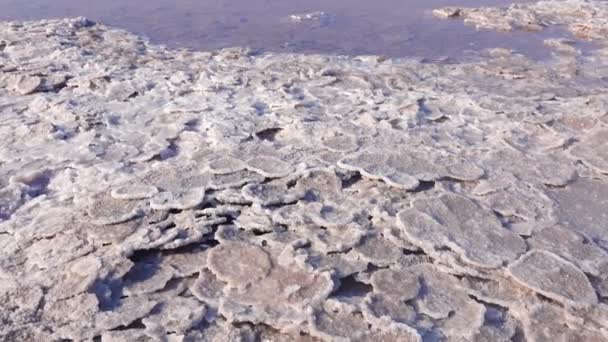 Kujalnik Mündung Schwarzes Meer Kochsalz Form Von Runden Pfannkuchen Boden — Stockvideo