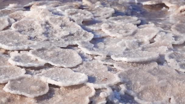 Estuario Kuyalnik Mar Nero Sale Tavola Sotto Forma Frittelle Rotonde — Video Stock