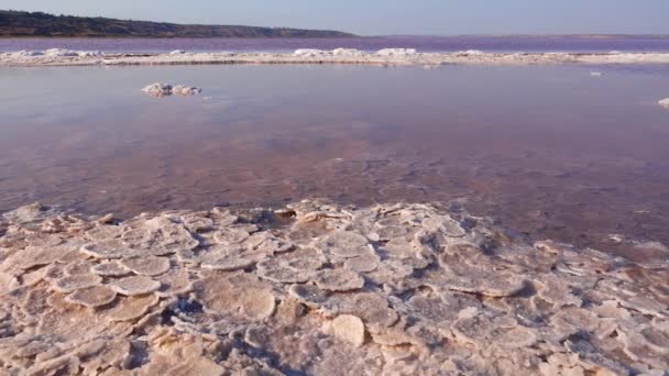Ujście Kuyalnika Morze Czarne Sól Stołowa Postaci Okrągłych Naleśników Dnie — Wideo stockowe