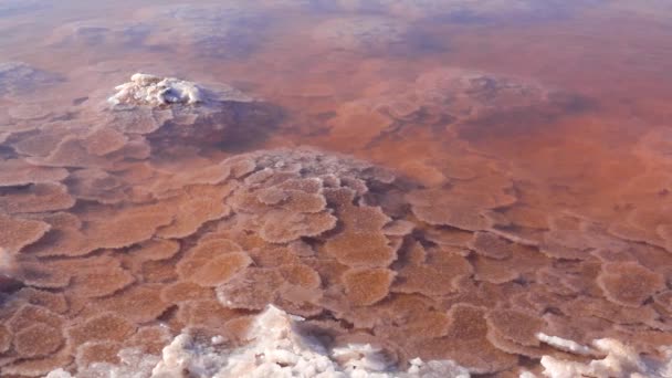 Estero Kuyalnik Mar Negro Sal Mesa Forma Panqueques Redondos Parte — Vídeos de Stock
