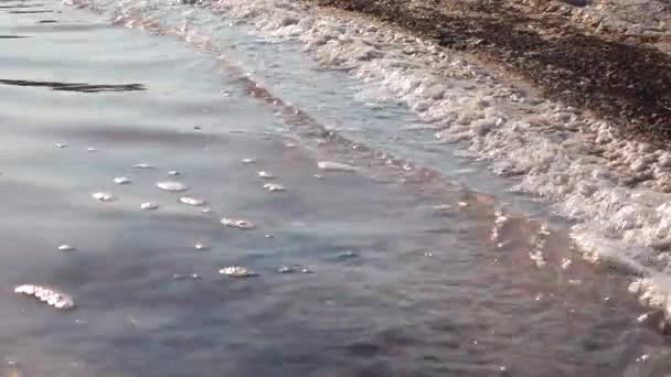 Estuaire Kuyalnik Mer Noire Sel Table Sous Forme Crêpes Rondes — Video