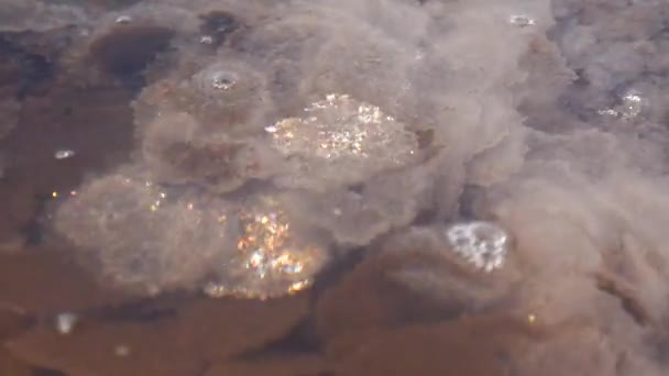 Ujście Kuyalnika Morze Czarne Sól Stołowa Postaci Okrągłych Naleśników Dnie — Wideo stockowe