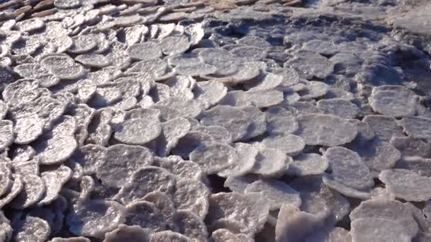 Estuaire Kuyalnik Mer Noire Sel Table Sous Forme Crêpes Rondes — Video