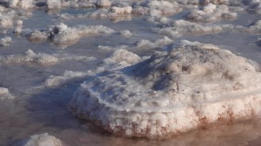 Kuyalnik haliçleri, Karadeniz. Tablo tuzu, alttaki yuvarlak gözleme şeklinde ve haliçlerin kıyısında. Tablo tuz kristalleri