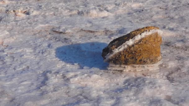塩の結晶 自給自足の塩は石を覆う 乾燥湖 環境問題のハイパーリン水 ウクライナ — ストック動画