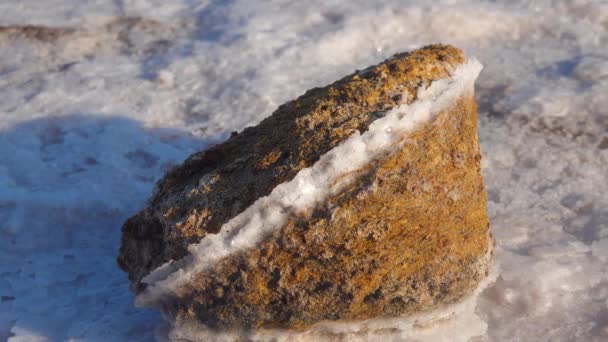 Σολτ Λέικ Κρύσταλλοι Αλατιού Αυτο Ρυθμιζόμενο Αλάτι Καλύπτει Τις Πέτρες — Αρχείο Βίντεο