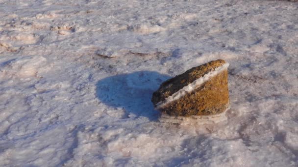 Lago Salato Cristalli Sale Sale Auto Sedimentante Copre Pietre Acqua — Video Stock