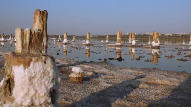 Salt Lake Sel Auto Décantant Sur Billes Bois Eau Hypersaline — Video