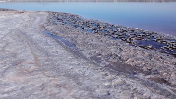 Estuaire Kuyalnik Mer Noire Sel Table Sous Forme Crêpes Rondes — Video