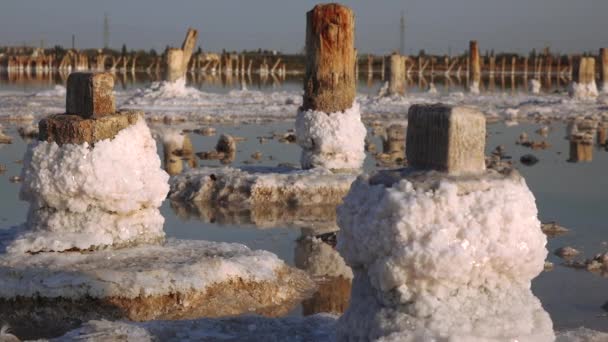 Salt Lake Sel Auto Décantant Sur Billes Bois Eau Hypersaline — Video