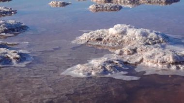 Salt Lake 'de. Ahşap kütüklere kendi kendine yerleşen tuz. Kuruyan bir gölde hipertuzlu su, çevresel bir sorun. Karadeniz, Ukrayna