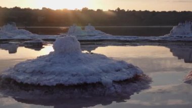 Salt Lake 'de. Ahşap kütüklere kendi kendine yerleşen tuz. Kuruyan bir gölde hipertuzlu su, çevresel bir sorun. Karadeniz, Ukrayna