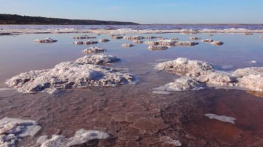 Salt Lake 'de. Ahşap kütüklere kendi kendine yerleşen tuz. Kuruyan bir gölde hipertuzlu su, çevresel bir sorun. Karadeniz, Ukrayna