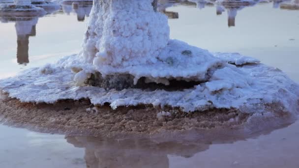 Jezioro Salt Sól Samosadzająca Się Drewnianych Kłodach Woda Hiperalinowa Wysuszonym — Wideo stockowe