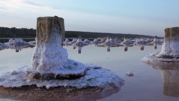 Jezioro Salt Sól Samosadzająca Się Drewnianych Kłodach Woda Hiperalinowa Wysuszonym — Wideo stockowe