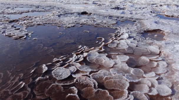 Estuaire Kuyalnik Mer Noire Sel Table Sous Forme Crêpes Rondes — Video