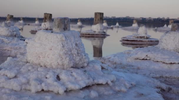 Salt Lake Sel Auto Décantant Sur Billes Bois Eau Hypersaline — Video