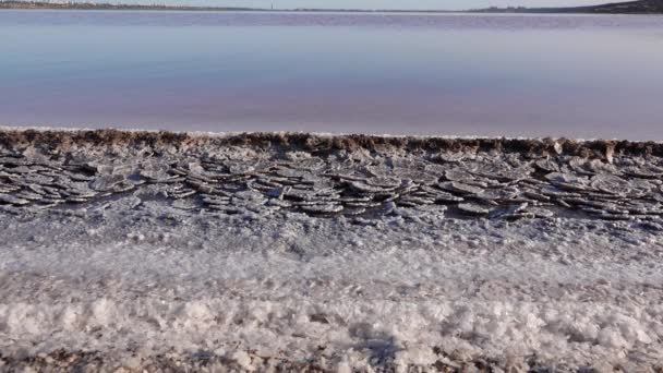 盐湖城木制原木上的自沉淀盐 一个干涸的湖中的过饱和水 是一个环境问题 乌克兰 — 图库视频影像