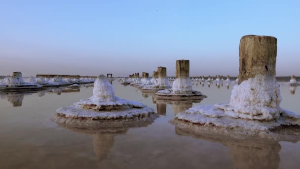 Σολτ Λέικ Αυτοεξυπηρετούμενο Αλάτι Ξύλινα Κούτσουρα Νερό Υπεραλίνης Μια Λίμνη — Αρχείο Βίντεο