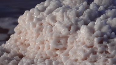 Salt Lake 'de. Ahşap kütüklere kendi kendine yerleşen tuz. Kuruyan bir gölde hipertuzlu su, çevresel bir sorun. Karadeniz, Ukrayna