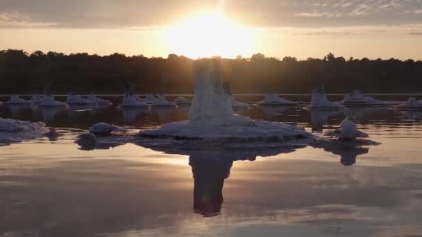 Het Zoutmeer Zout Houtblokken Hypersaline Water Een Droogmeer Een Milieuprobleem — Stockvideo