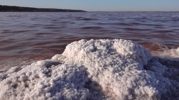 库亚尼克河口 盐晶覆盖着盐湖岸上的石头 — 图库视频影像