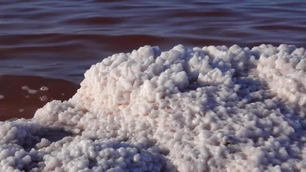 Kuyalnik河口 塩の結晶は塩湖の岸に石を覆う — ストック動画