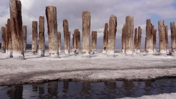 Kuyalnik河口を乾燥させます 古い18世紀の塩産業の木製の柱に塩の結晶 生態系の問題は干ばつです — ストック動画