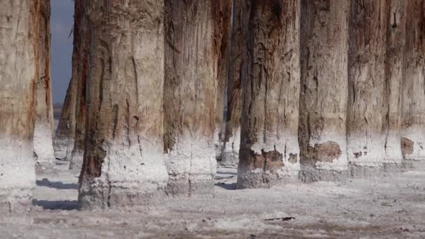 干燥的库雅尔尼克河口 18世纪一个古老的盐业木柱上的盐晶 生态问题是干旱 — 图库视频影像