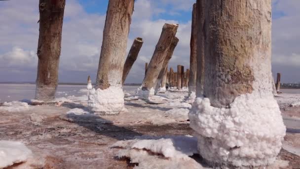 Séchage Estuaire Kuyalnik Cristaux Sel Sur Piliers Bois Une Ancienne — Video